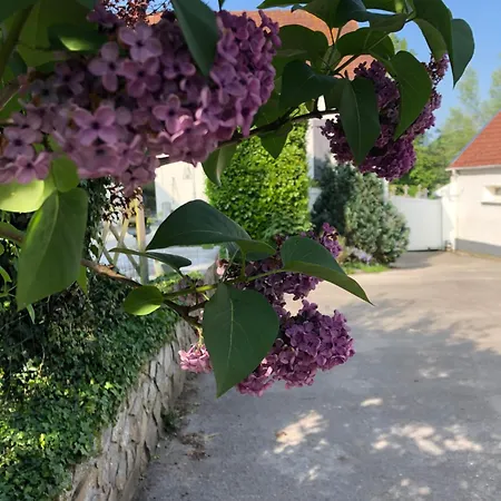 Le Clos De La Pommeraie Dom wakacyjny