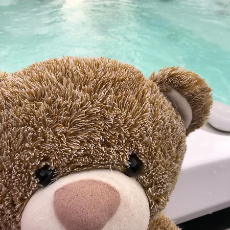 Le Clos De La Pommeraie * Carly