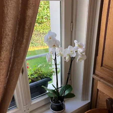 Le Clos De La Pommeraie *