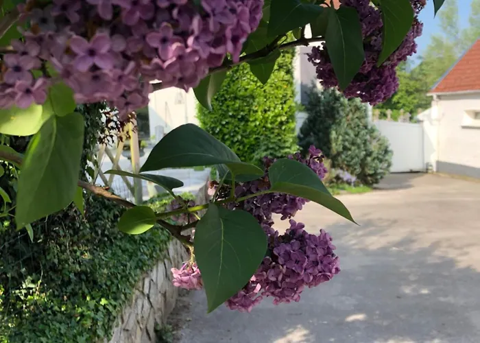 Le Clos De La Pommeraie Casa vacanze